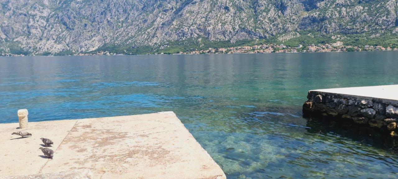 Apartman Katarina Kotor Eksteriør bilde